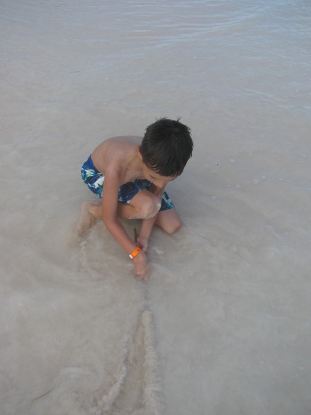 Dominican Republic 509.jpg